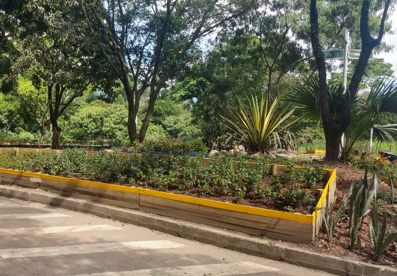 Cambio en La Iguaná: adiós a los escombros, bienvenido el ornato