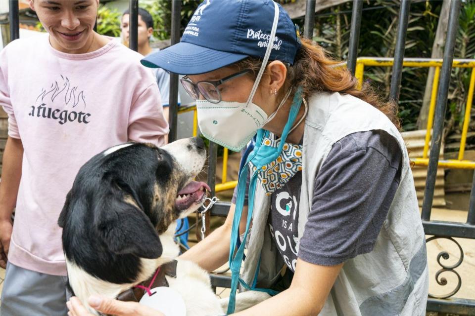 Emergencia animal. Una crisis olvidada
