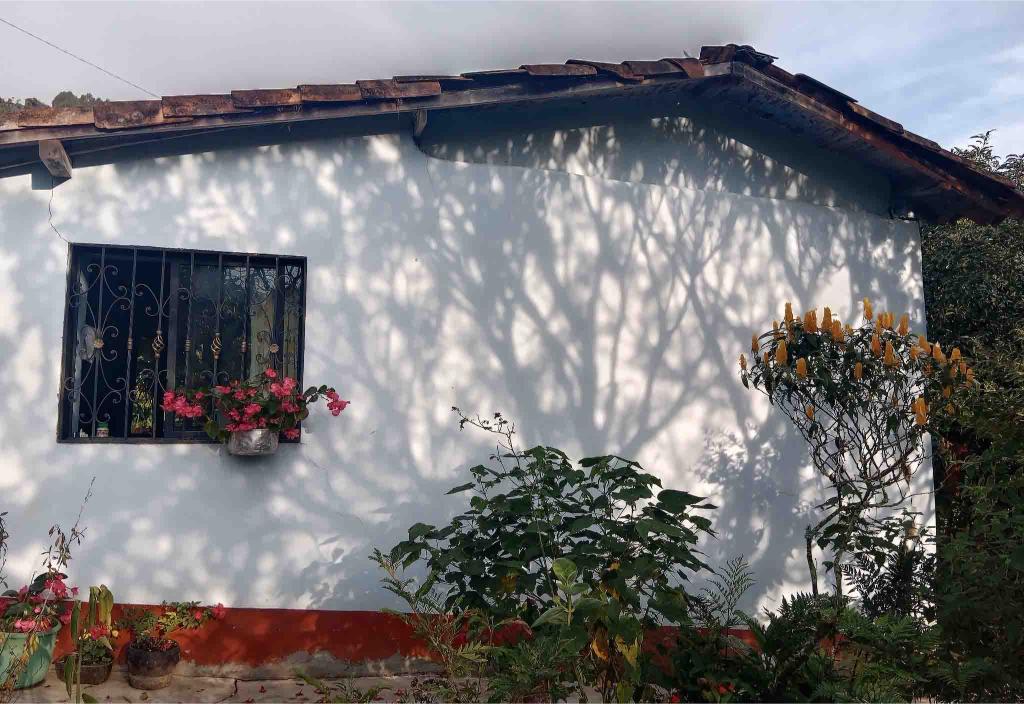 arquitectura-viva-las-casas-de-tapia-en-palmitas
