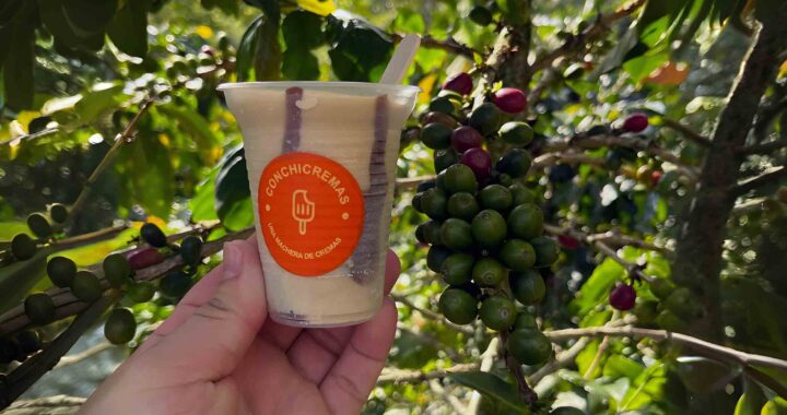Conchicremas. El refrescante sabor artesanal de Concepción