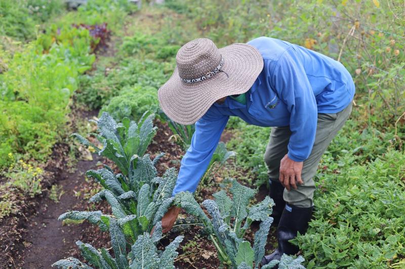 agricultores