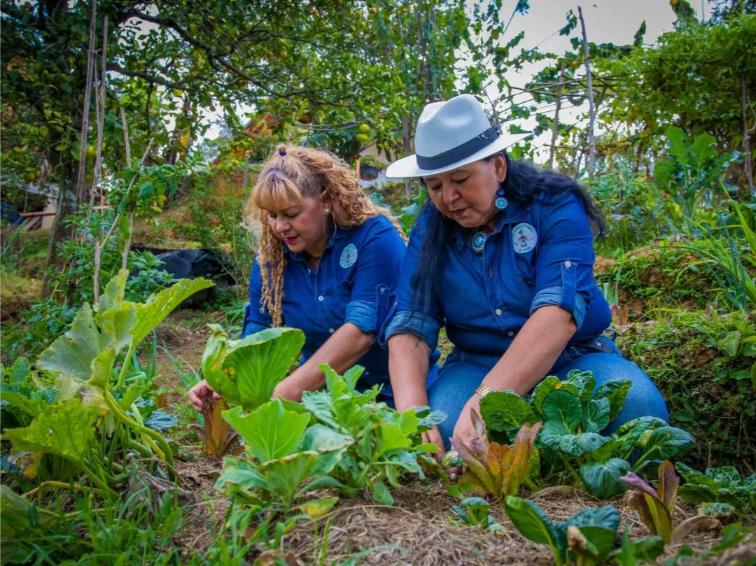 Resiliencia femenina en El Vergel