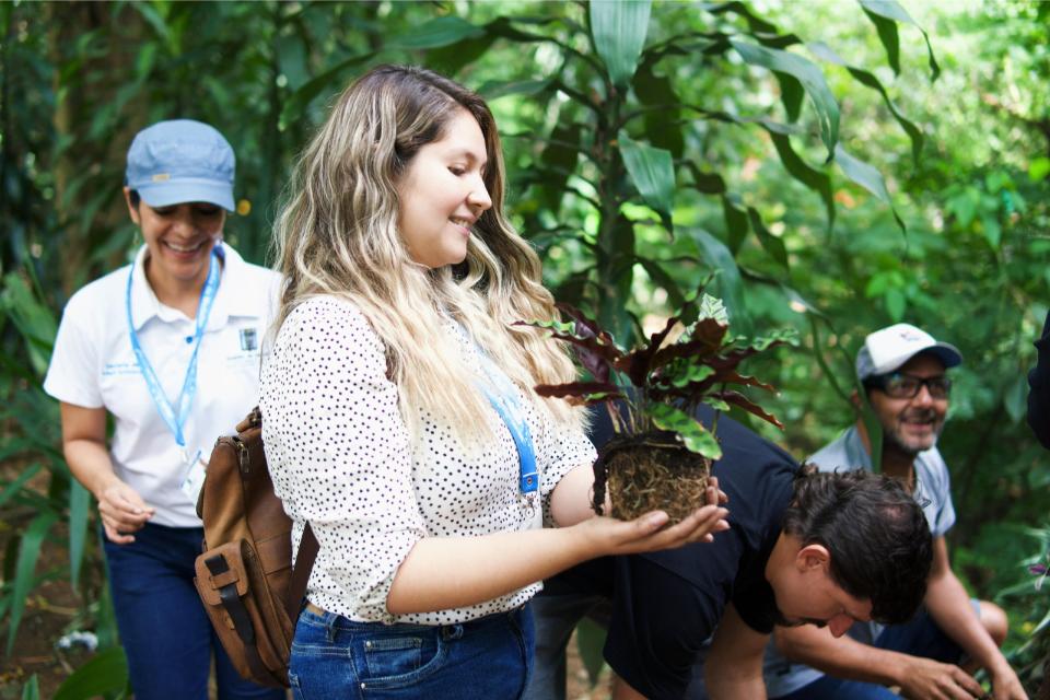 Un árbol cortado cómo refugio de vida en Provenza