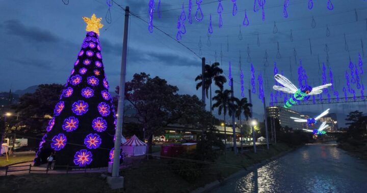 Medellín enciende la magia de la navidad con homenaje