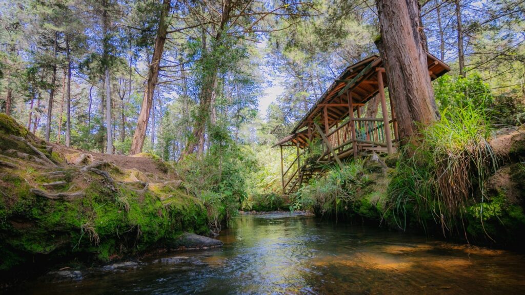 Exito_turistico_en_los_pulmones_verdes_de_Medellin