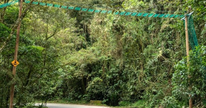 Nuevos cruces seguros para la fauna en Robledo