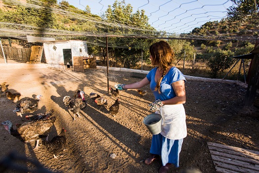La apuesta de Antioquia por las mujeres del campo