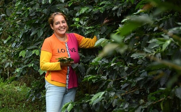 Nueva convocatoria para iniciativas rurales en Medellín