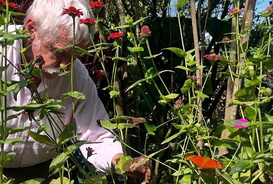 El jardín que protege las mariposas en Envigado