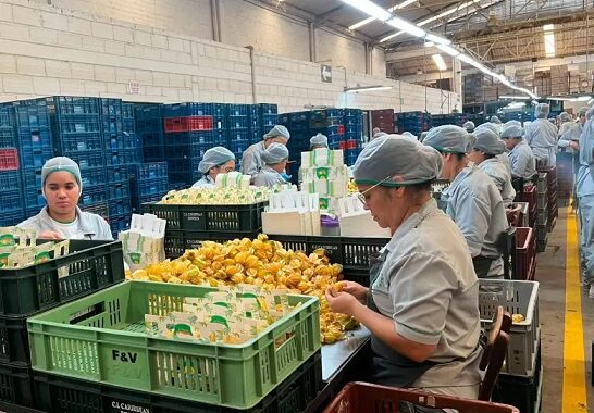 La apuesta por la contratación femenina en Antioquia