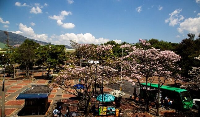 Las nuevas plataformas para consultar el POT de Medellín