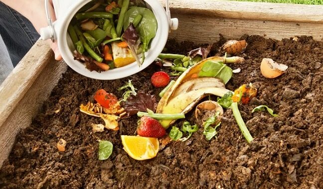 El gran modelo de Zero Waste que se desarrolla en Robledo