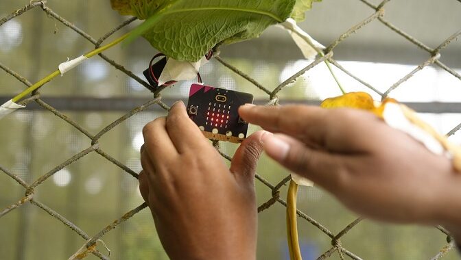 El nuevo mariposario creado por niños de Medellín